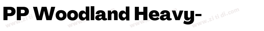 PP Woodland Heavy字体转换